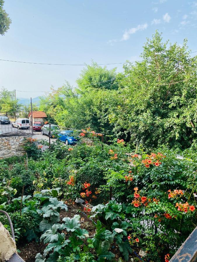 Appartamento Ortansia Dimitsana Esterno foto