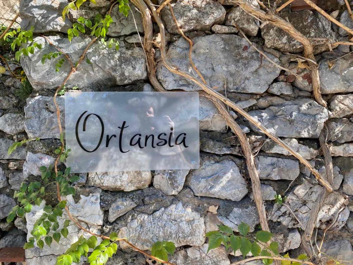 Appartamento Ortansia Dimitsana Esterno foto